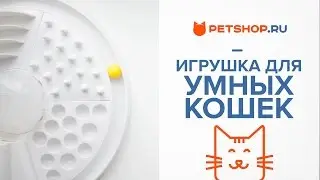 ОБЗОР ИНТЕЛЛЕКТУАЛЬНОЙ ИГРУШКИ EDUPET CAT CENTER