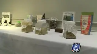 Could legalized hemp become a cash crop in South Texas?