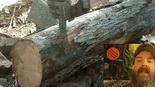 @roganusa MUTT Foreman Unboxing and Testing Part2 Destruction