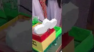 science project s v p school 🏫
