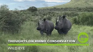 Rhino conservation