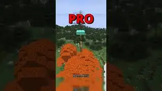 Noob vs Pro vs HACKER! #minecraft