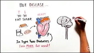 What Is Your Metabolism?