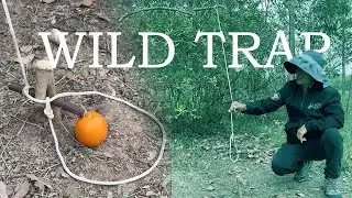 Survival Hack! The Smartest Trap Knot for Hunting in the Wild. #bushcraft  #trap #survival #outdoors