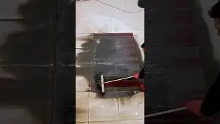 Dirty to Like New Carpet Cleaning