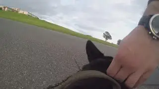 Run with Otto: The rescue dog that protects Travis Air Force Base | RAW