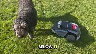 Sunseeker V3 Robot Mower Review: The Ultimate Wire-Free Lawn Care Solution!