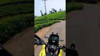 100th YouTube Video! | Suzuki V-Strom SX 250 Ride to Nelliampathi | Shot on DJI Osmo 5 Pro#suzuki