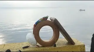 Only using floating fishing rods, amateur anglers are surrounded by professional anglers.