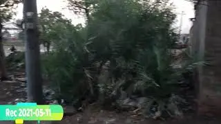 pahar pur layyah 2021-05-11