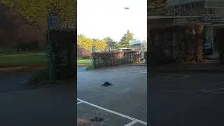Crow Fighting Buzzard / Crow Battle Group Routs the Enemy / Seagulls Join in the Attack!