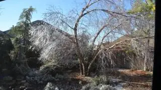 Ice Melt 2013