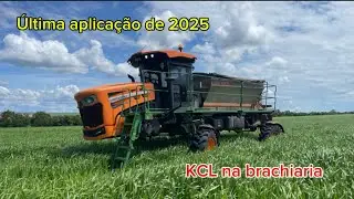 ÚLTIMA APLICAÇÃO DE 2025 | KCL NA BRACHIARIA 