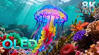 Glowing Jellyfish in the Deep Sea | 16K HDR 240fps Dolby Vision