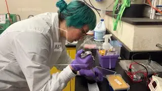 University research in turmoil after Trump administration declares diversity policies 'illegal'
