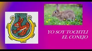 YO SOY TOCHTLI 1 PARTE