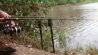 Carp run - Branie karpia