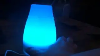 Lmeison Essential Oil Diffuser
