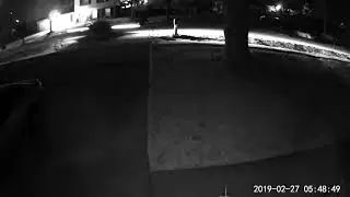 Mailbox smashed