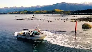 Kaikoura Fishing Tours - A day well spent