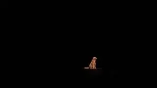 2019 One Act Festival