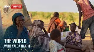 Sudan's government warns of genocide in Darfur - as it calls for the world to act | The World
