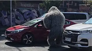 Santiago, Chile Street Performers 🤩