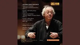 Mein Herze schwimmt im Blut, BWV 199: No. 1, Mein Herze schwimmt im Blut