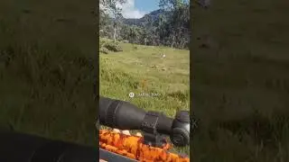 super nice little piebald axis deer harvest in the aussie land #gaming #hunting #gameplay #shorts