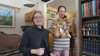 How to put an uncooperative cat into a kennel! #cats #cat #catlover