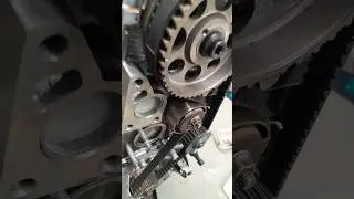 Fiat Palio timing