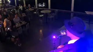 SEE IF YOU CAN SPOT THE CAT IN THIS VIDEO