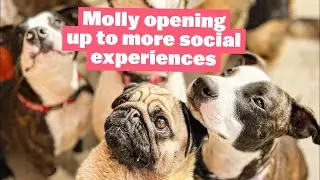 Lunchtime | Molly Opening Up to More Social Experiences