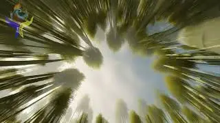 The Space Between Thoughts: A Forest Piano Soundscape for a Clear Mind | Looking Up 🌲🎹✨