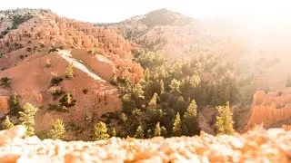 Grand Circle Trail Fest presented by Altra Running