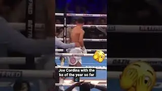 With Cordina being the IBF super featherweight champion will there be a fight with Shakur next?