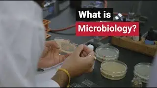 What is Microbiology | University of Guelph