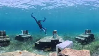 Artificial Reefs of Abaco