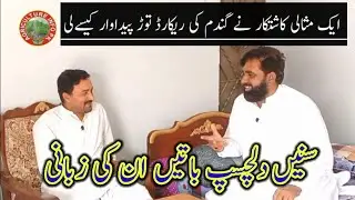 Wheat production Technolog in Pakistan| Leste production Technology In Wheat | Gandom ki pedawar |