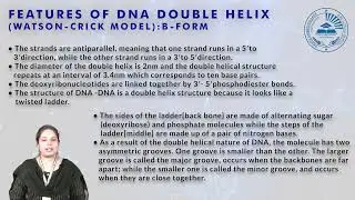 Watson&ndash;Crick Model of DNA: Structure, Features & Types of DNA by Dr. Malathi R.