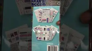Shop with me Walmart Planner Stickers