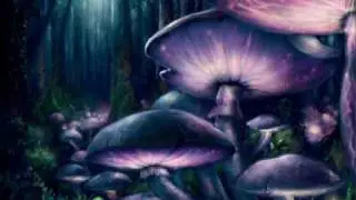Leon - Mushroom Fields