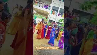 #jaffna #university #pongal #festvival #shortvideo #subscribe #myyoutubechannel