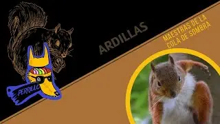 Ardillas: Arborícolas, astutas, arratadas| Ep 75 | CULTURA COLMILLUDA