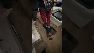 Walking on a back to crack it