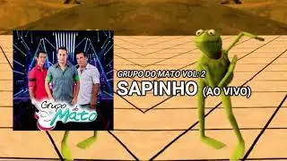 Grupo do Mato - SAPINHO (AO VIVO) Vol.2