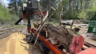 Какова стоимость КЕДРА? | Wood Mizer Lt70 распиливает КЕДР