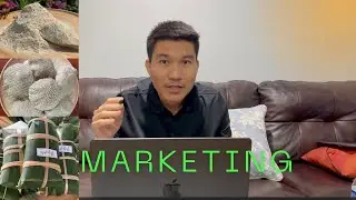 မှိုစျေးကွက်ရှာဖွေရန်် နည်းလမ်းများ   Marketing  Strategies for Mushroom Growers