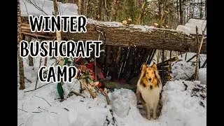 Winter Bushcraft Camp - Dead Materials Shelter