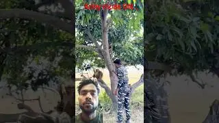 army officer na video!🇮🇳 फौजी वीडियो फौजी वीडियो😎 #shorts #reels #army #fauji #viral